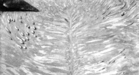 氣孔形態金相什么樣的？