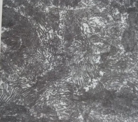 退火與正火的組織性能比較，正火組織比退火組織細