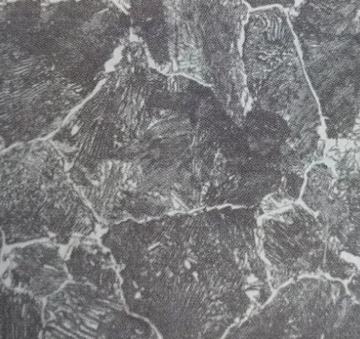 退火與正火的組織性能比較，先共析產物有差異(圖3)